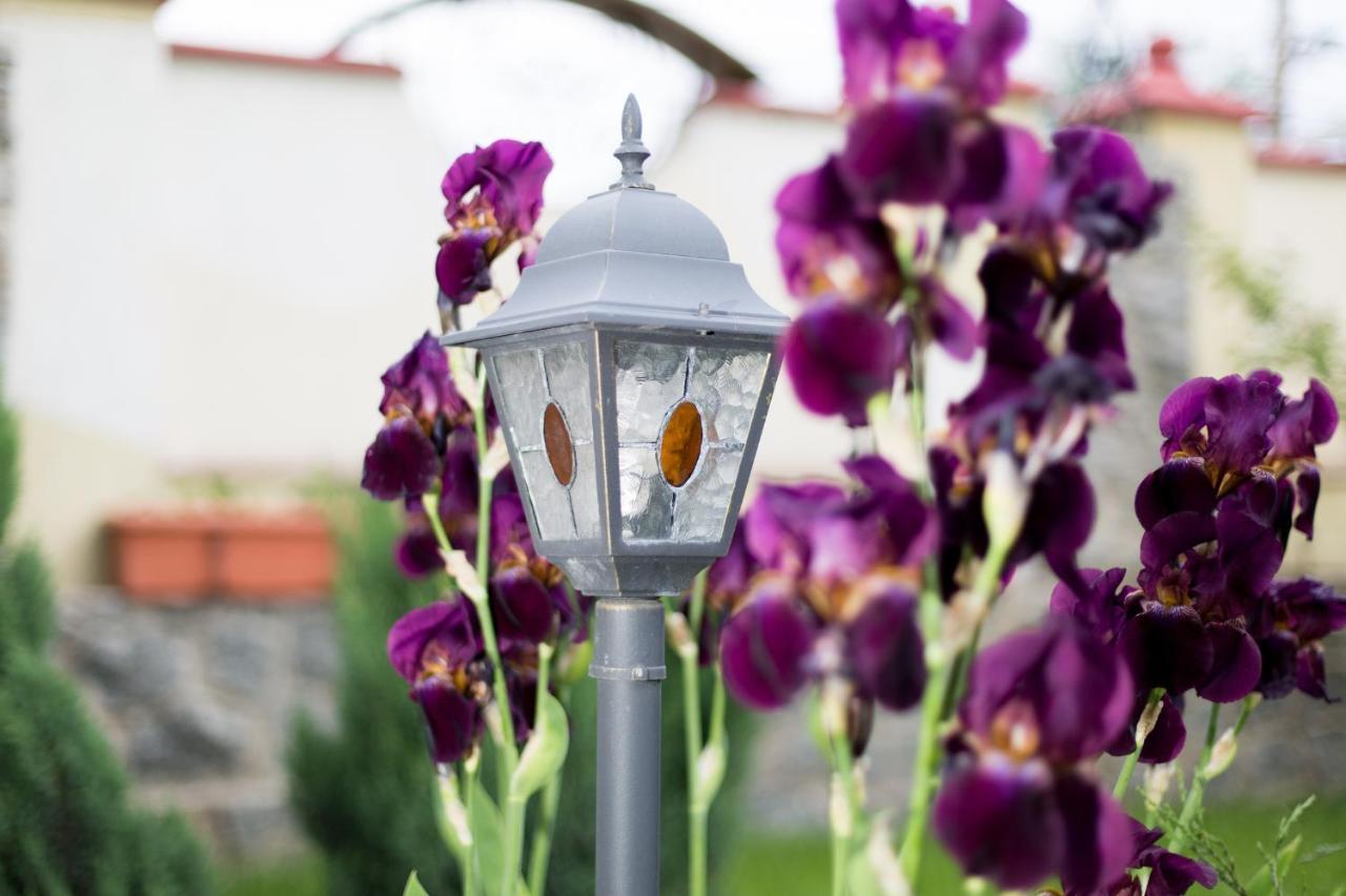 Villa Oselya Киев Экстерьер фото